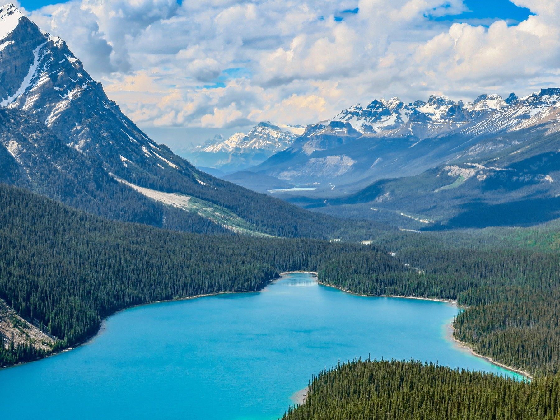 Peyto Lake, in the Canadian Rockies. Photo: Getty.