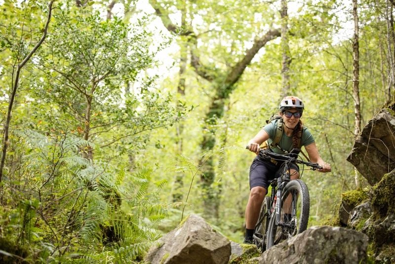 The MTB trails in Coed y Brenin. Photo: Sam Dugon/Cycling UK