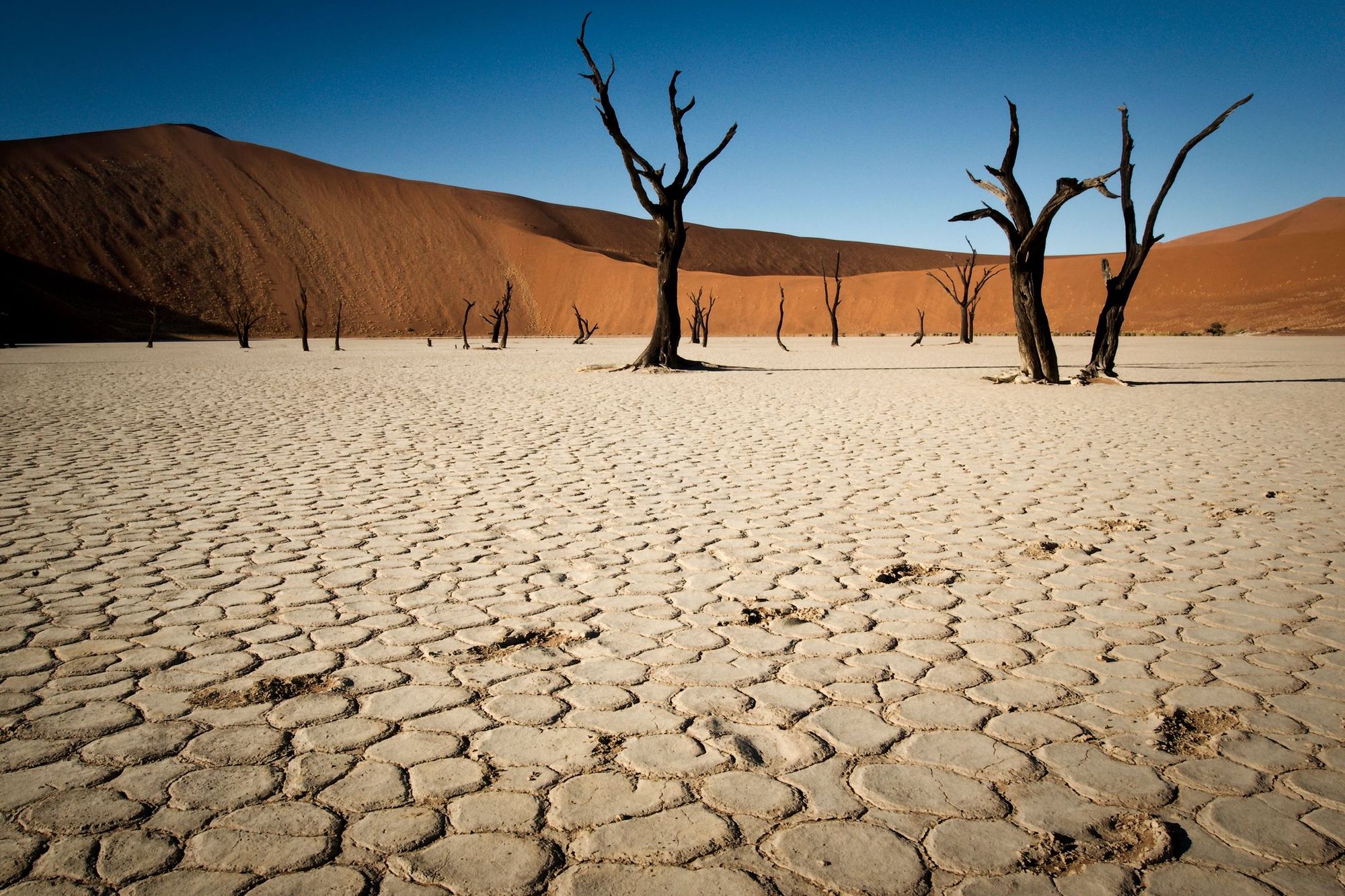 Deadvlei, Namibia. Photo: Getty.