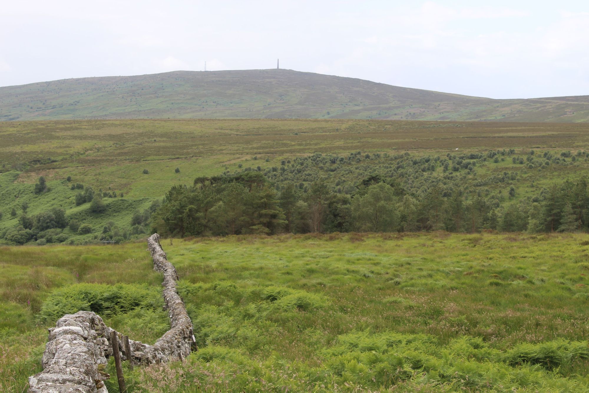 Looking up to Whitta Hill from the Tarras Valley Nature Reserve, with Langholm on the other side of the hill. Photo: Getty