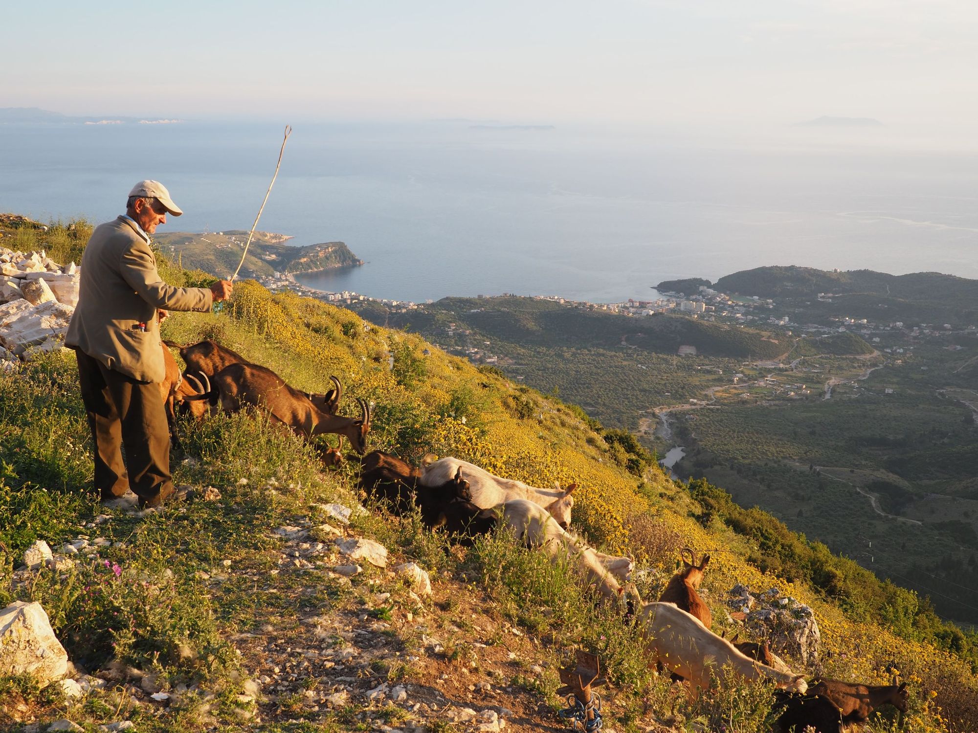 A local shepherd, working in an office with a view of the Albanian Rivieria. Photo: Ricardo Fahrig