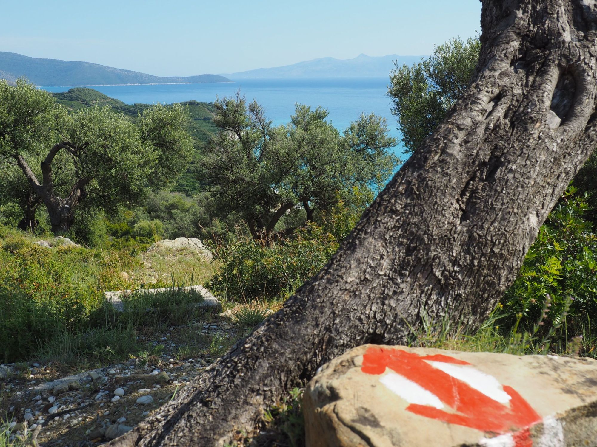 A hilltop view loooking back out to the Ionian Sea, with the waymarking of the Albanian Coastal Trail. Photo: Ricardo Fahrig