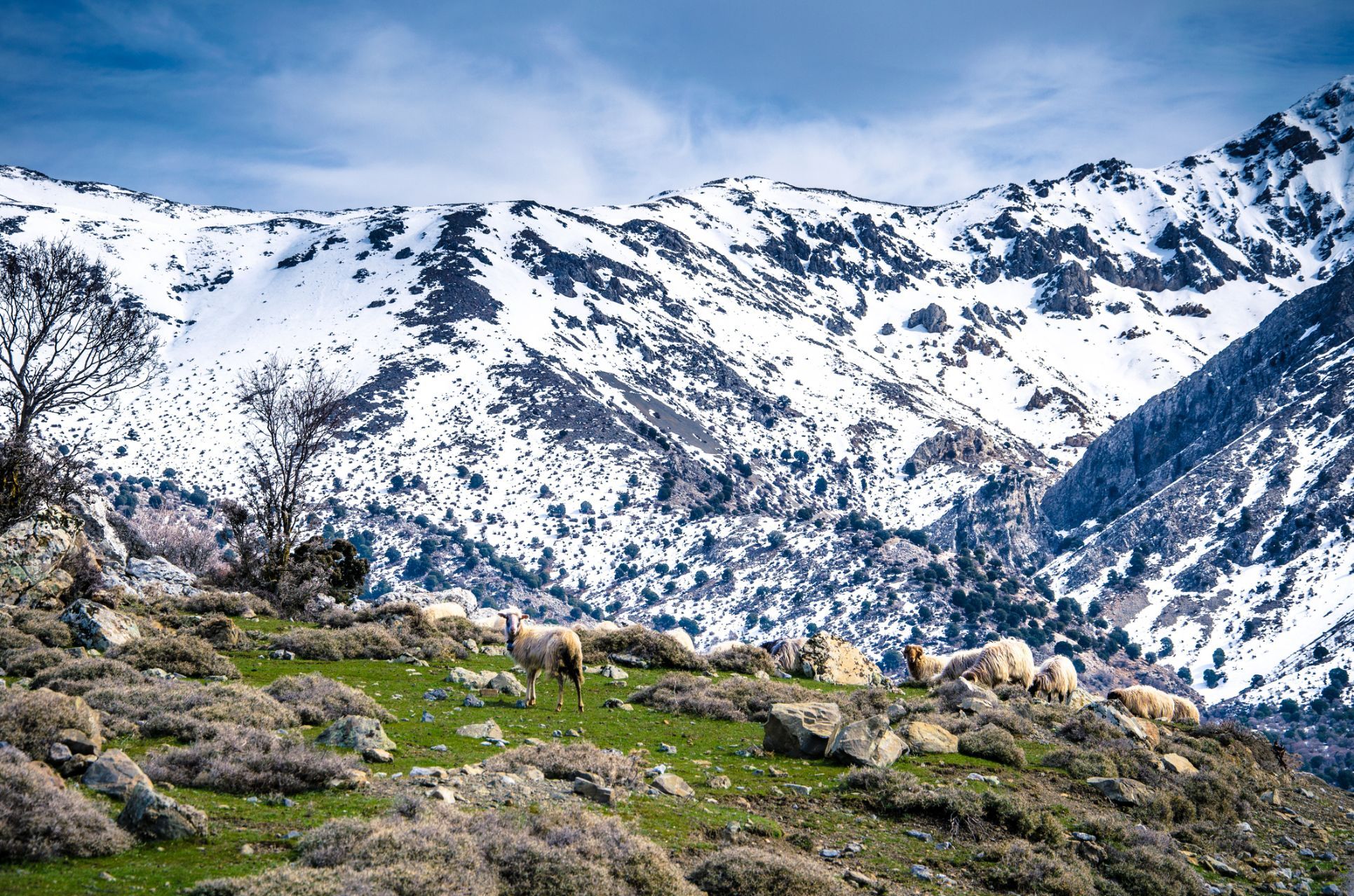 Snow in the White Mountains of Crete, during the colder months. Photo: Getty.