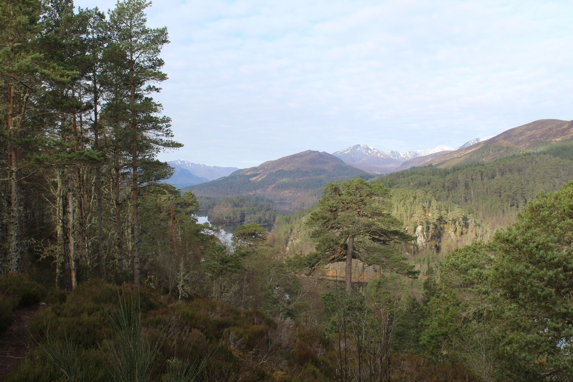 The lookout from the Glen Affric viewpoint, over Beinn a' Mheadhoin and the surrounding mountains. Photo: Stuart Kenny