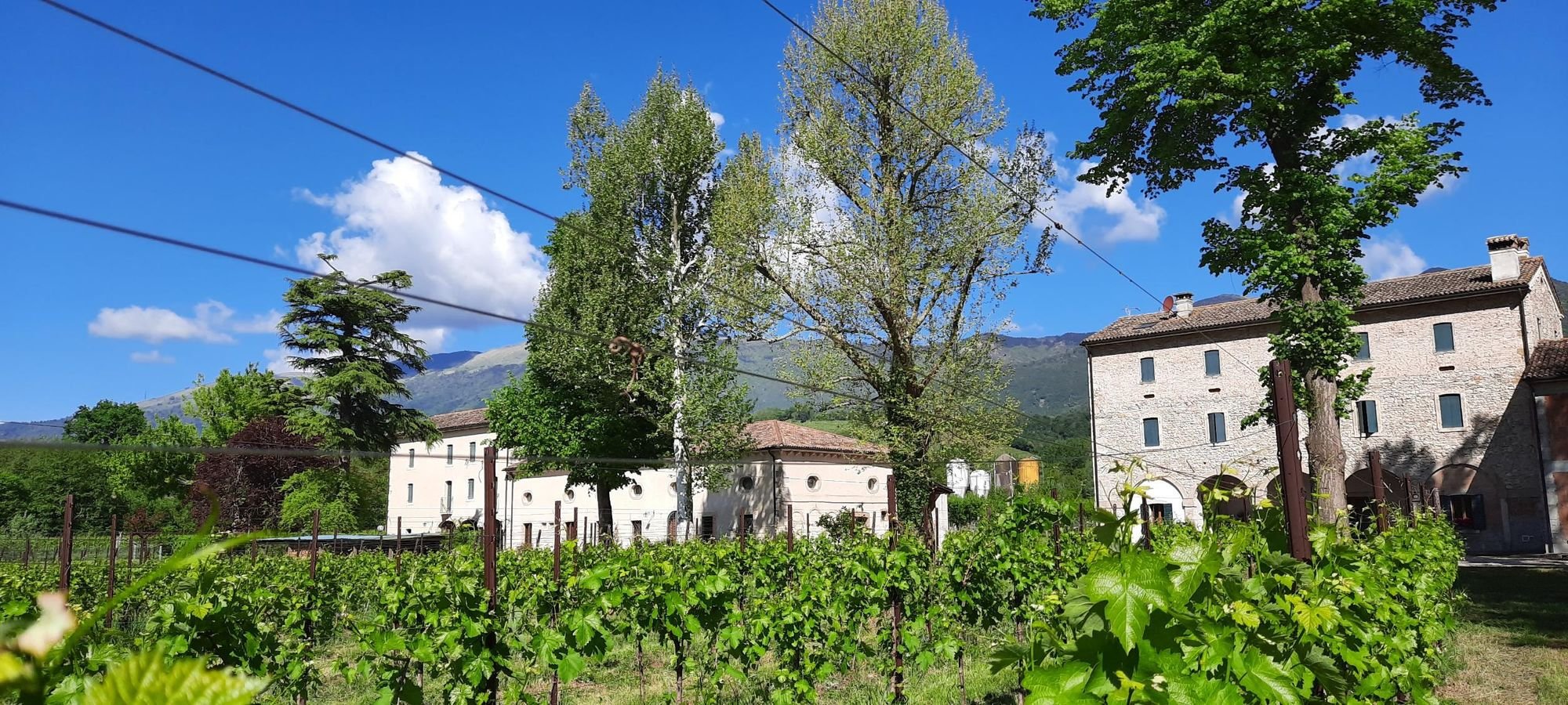 La Bella Follina, an agriturismo in the Prosecco Hills region of Italy. Photo: Elisa Ceccato.