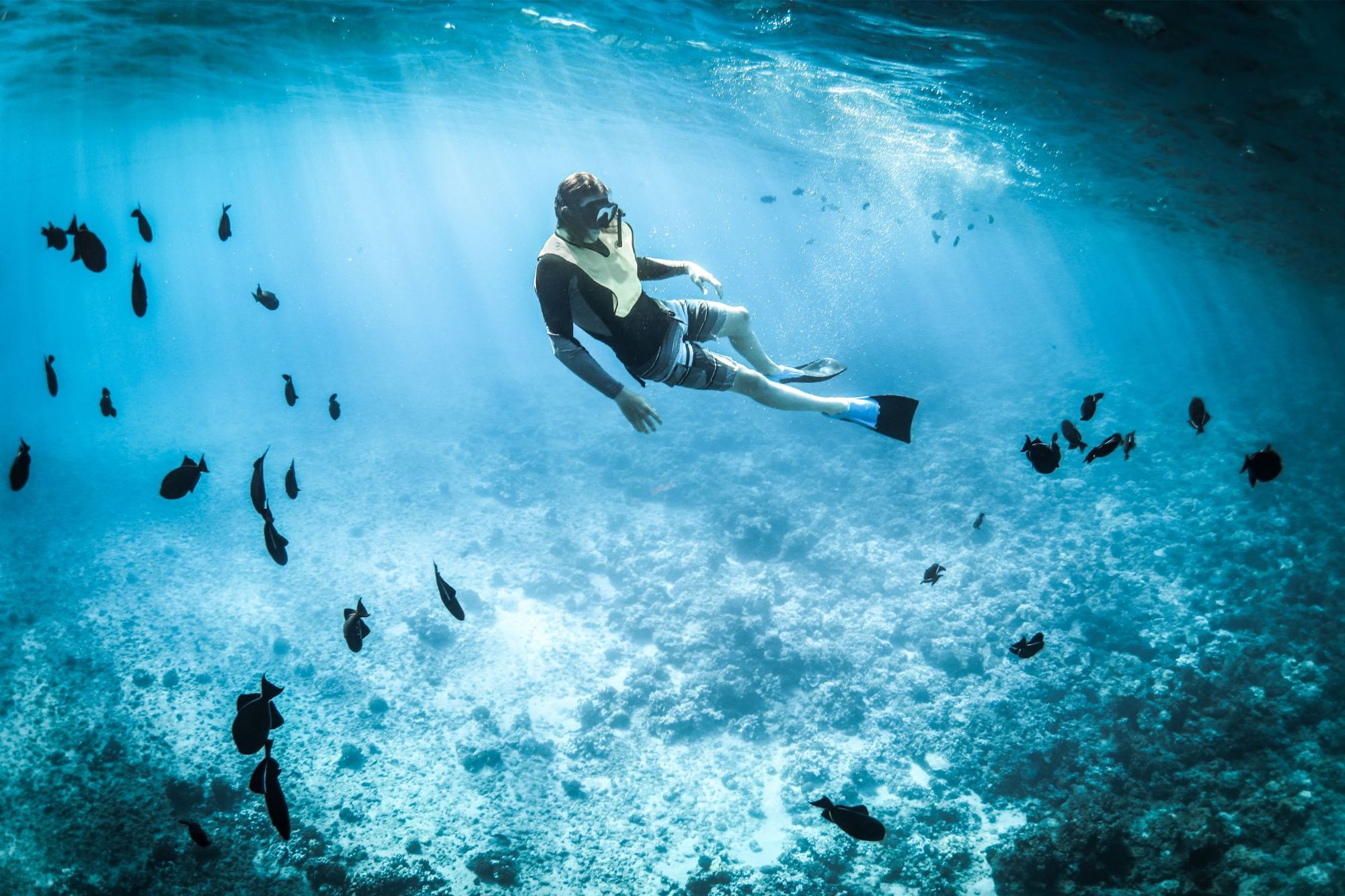 Snorkelling in the Red Sea, Jordan, near Aqaba. Photo: Canva.