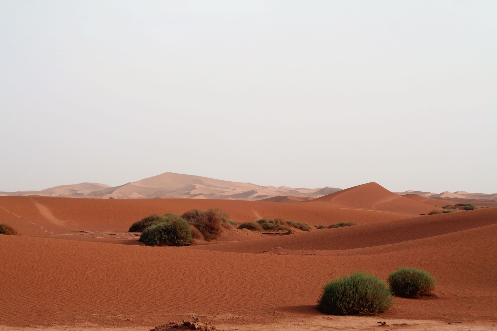 The red dunes of Erg Chigaga. Photo: Canva.