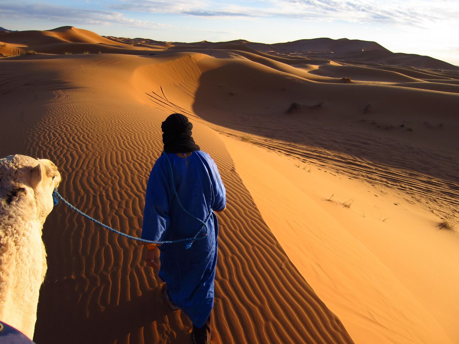 Camel trekking in the Sahara. Photo: Aztat Treks.
