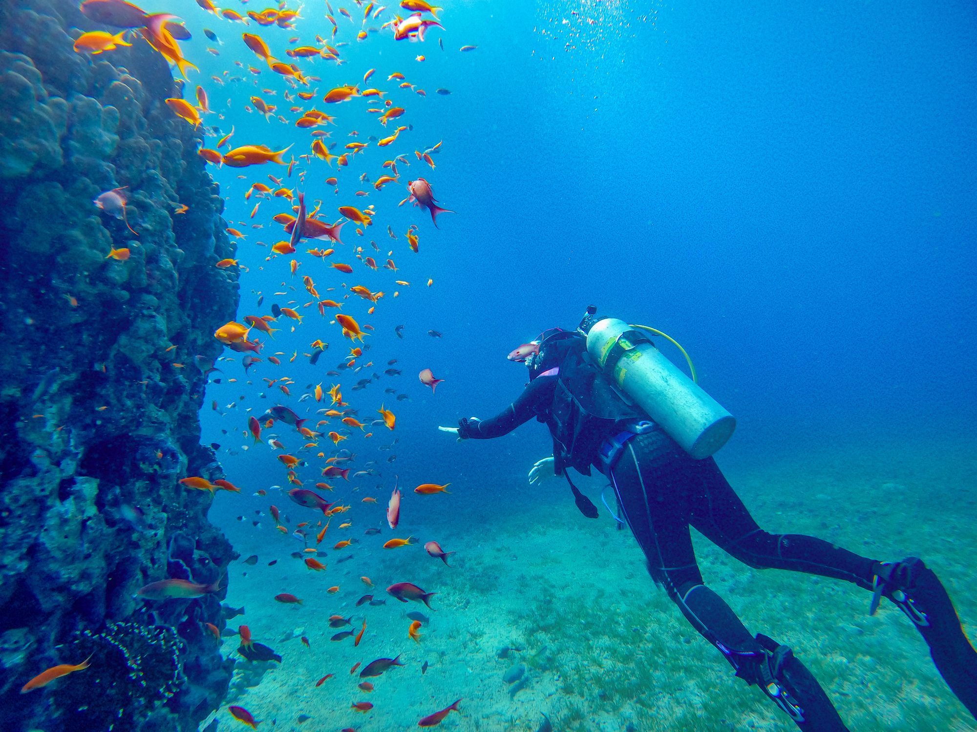 Scuba diving at a coral reef site near Aqaba, Jordan. Photo: Getty.