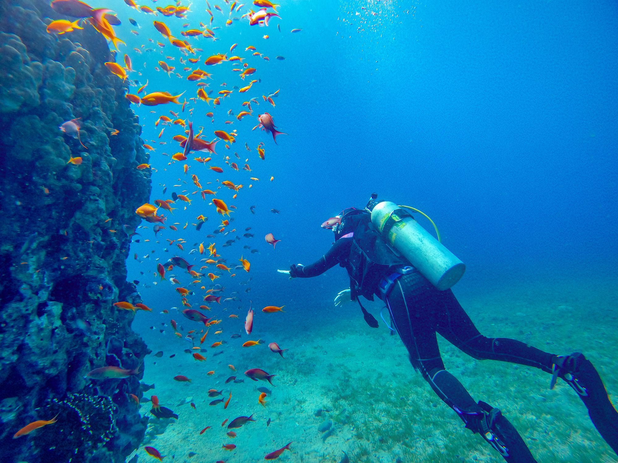Scuba diving at a coral reef site near Aqaba, Jordan. Photo: Getty.