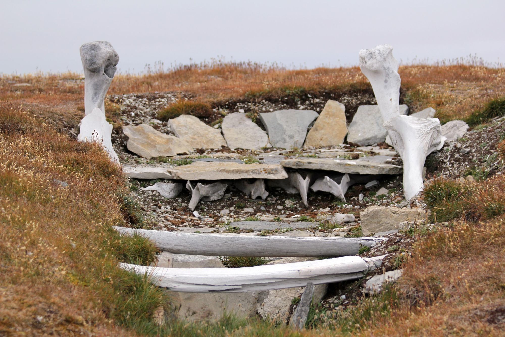 An excavated, partially reconstructed Ancient Thule home. Photo: Wikimedia Commons