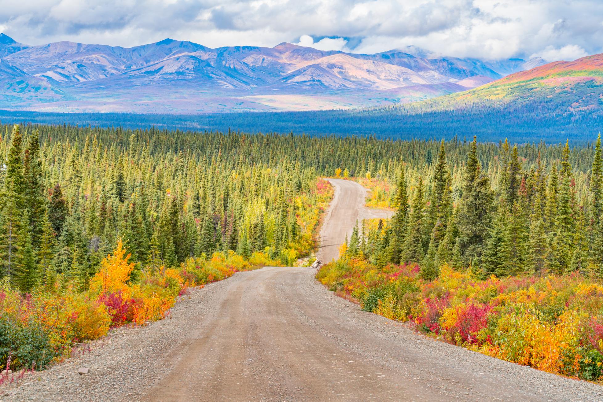 The Denali Park Road after Mile 15, where no public vehicles are allowed. Photo: Getty.