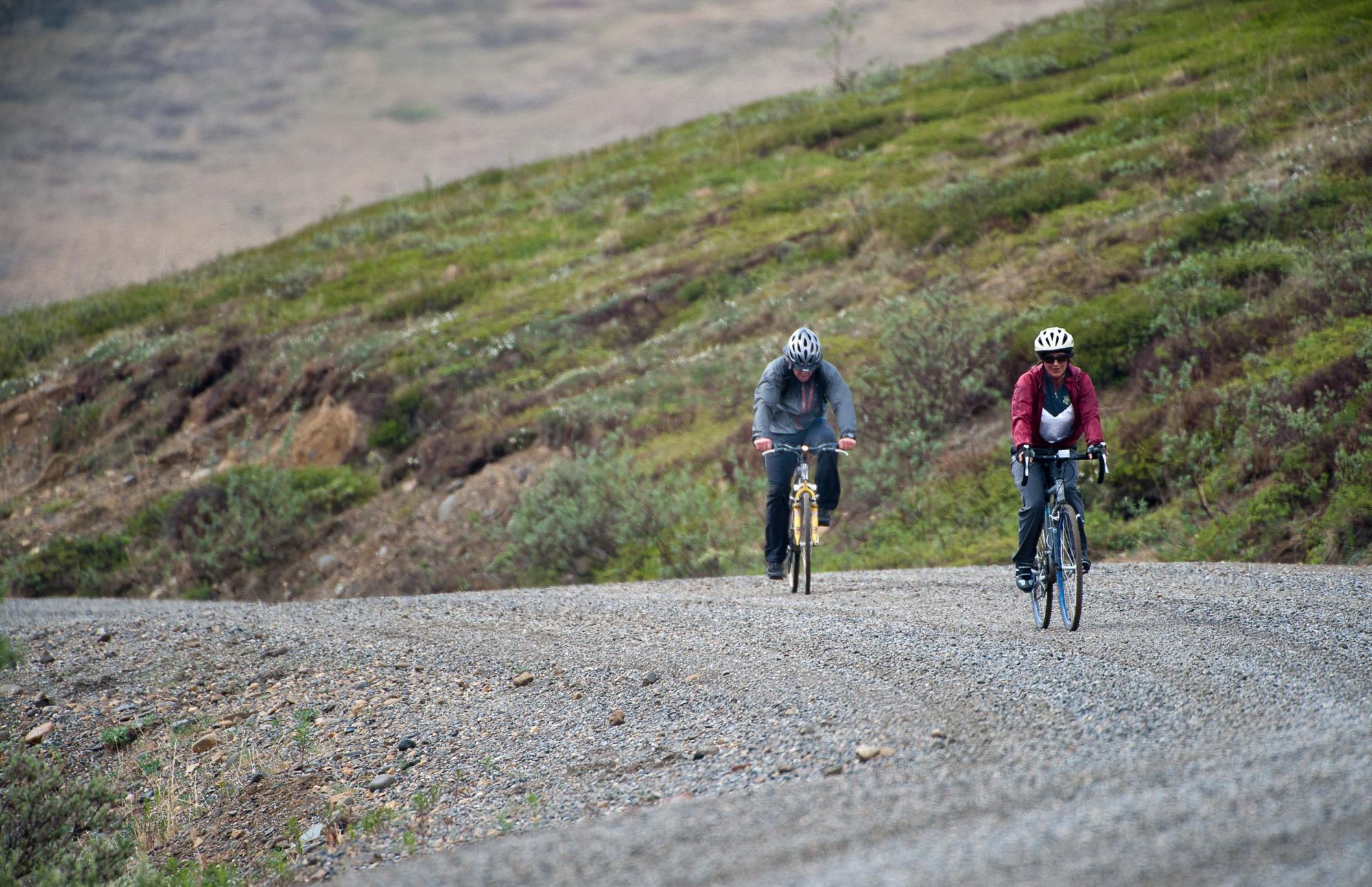 Cyclists on the Denali Park Road. Photo: NPS/Kent Miller