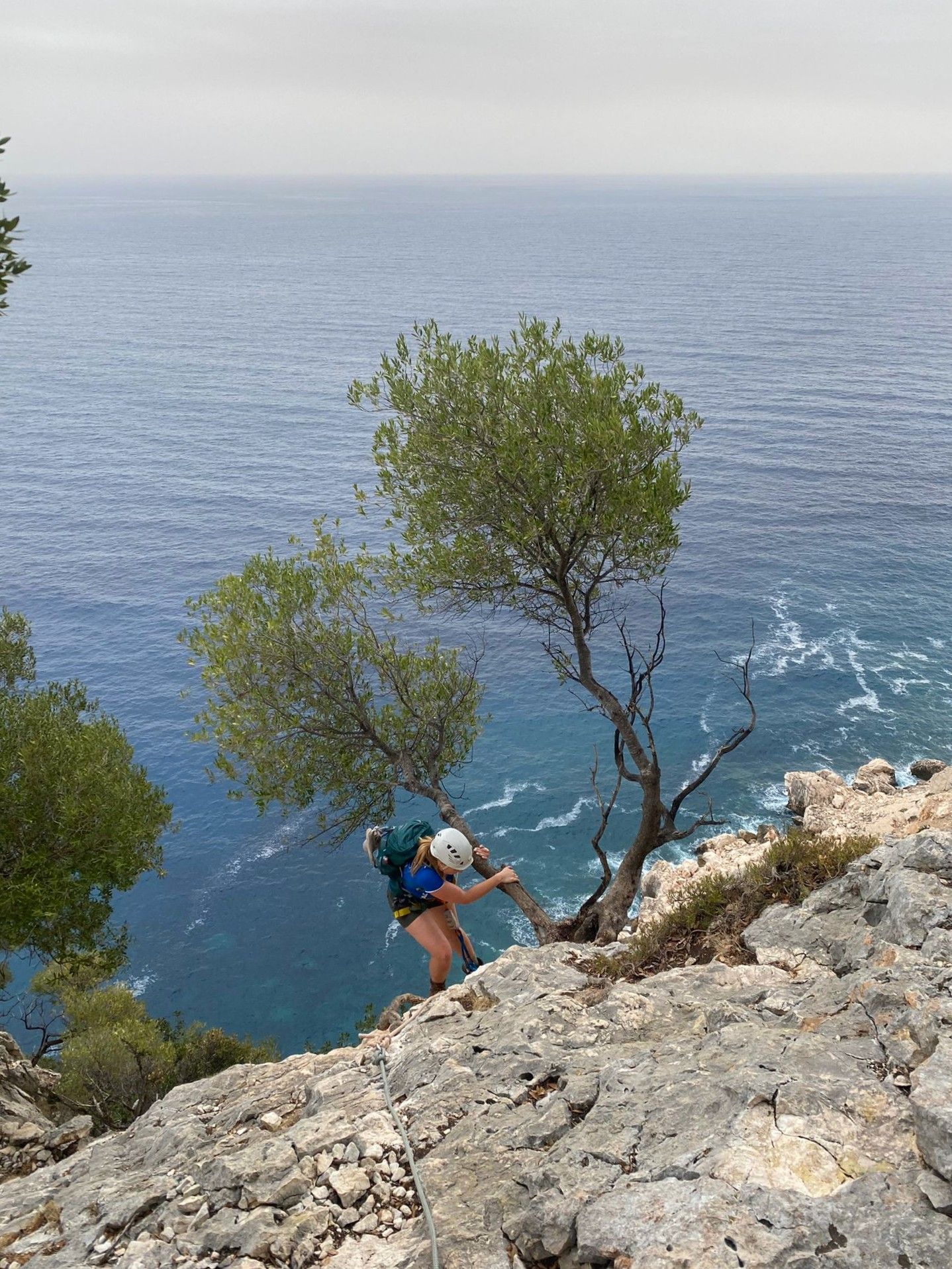 A climber clinging to a tree on the cliff face, with the sea below, Sardinia.