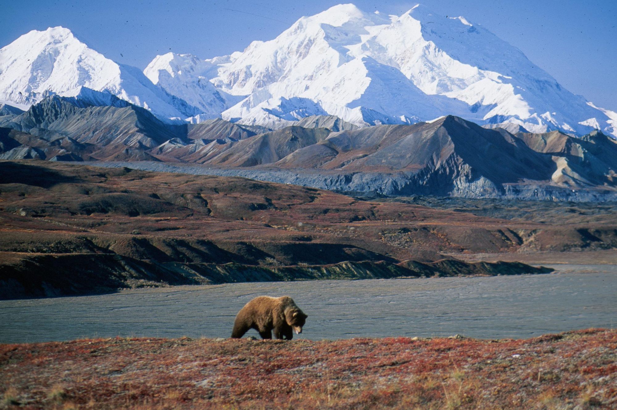 Denali or Mount McKinley? - Denali National Park & Preserve (U.S. National  Park Service)