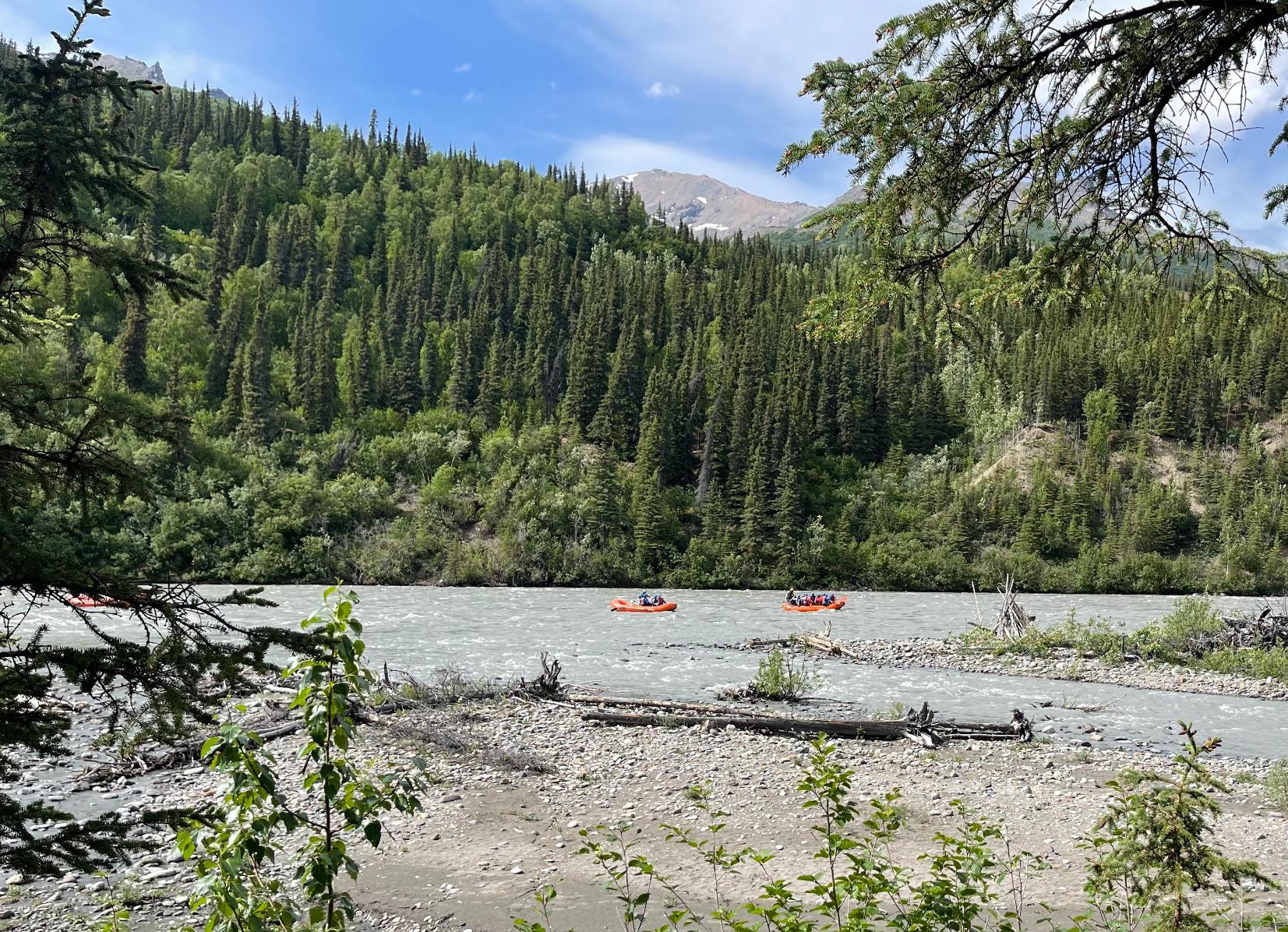 A whitewater rafting group on Nenana River, Denali National Park. Photo: Wikimedia Commons.