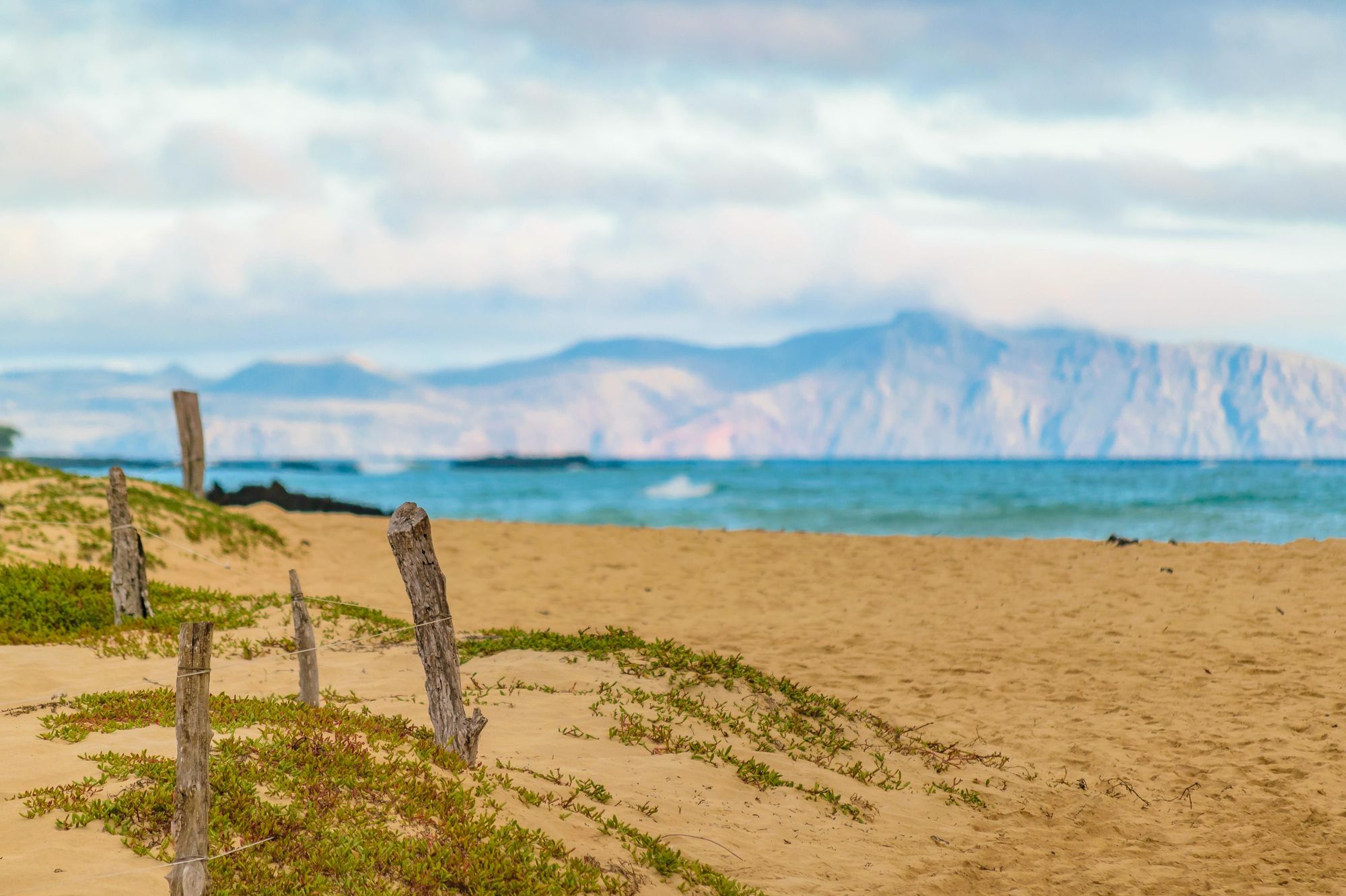 The sands of Garrapatero beach in the Galapagos. Photo: Getty