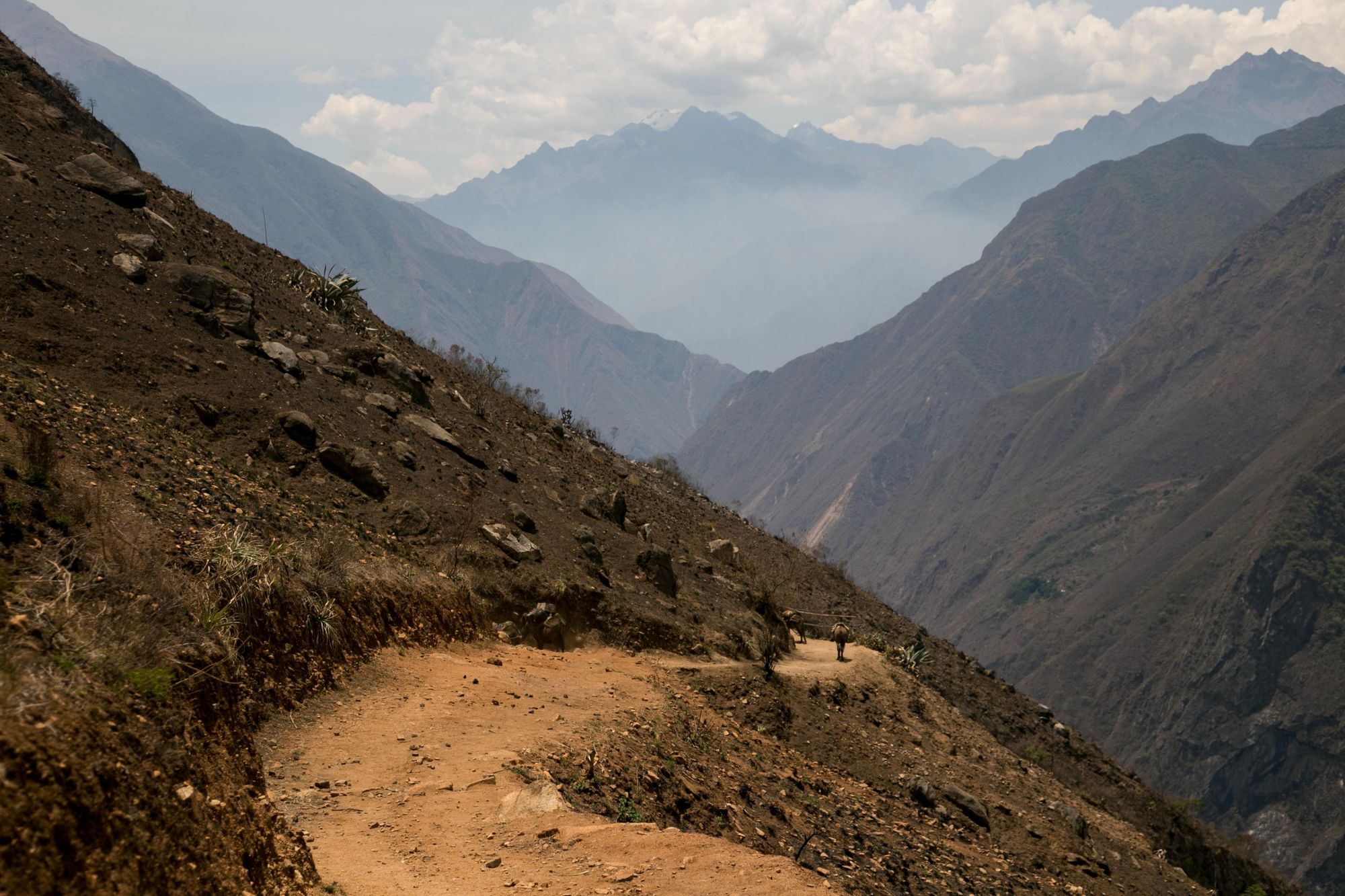 Hiking through the Apurímac canyon to the ruins of Choquequirao, an Inca archaeological site in Peru, similar in structure and architecture to Machu Picchu. Photo: Getty