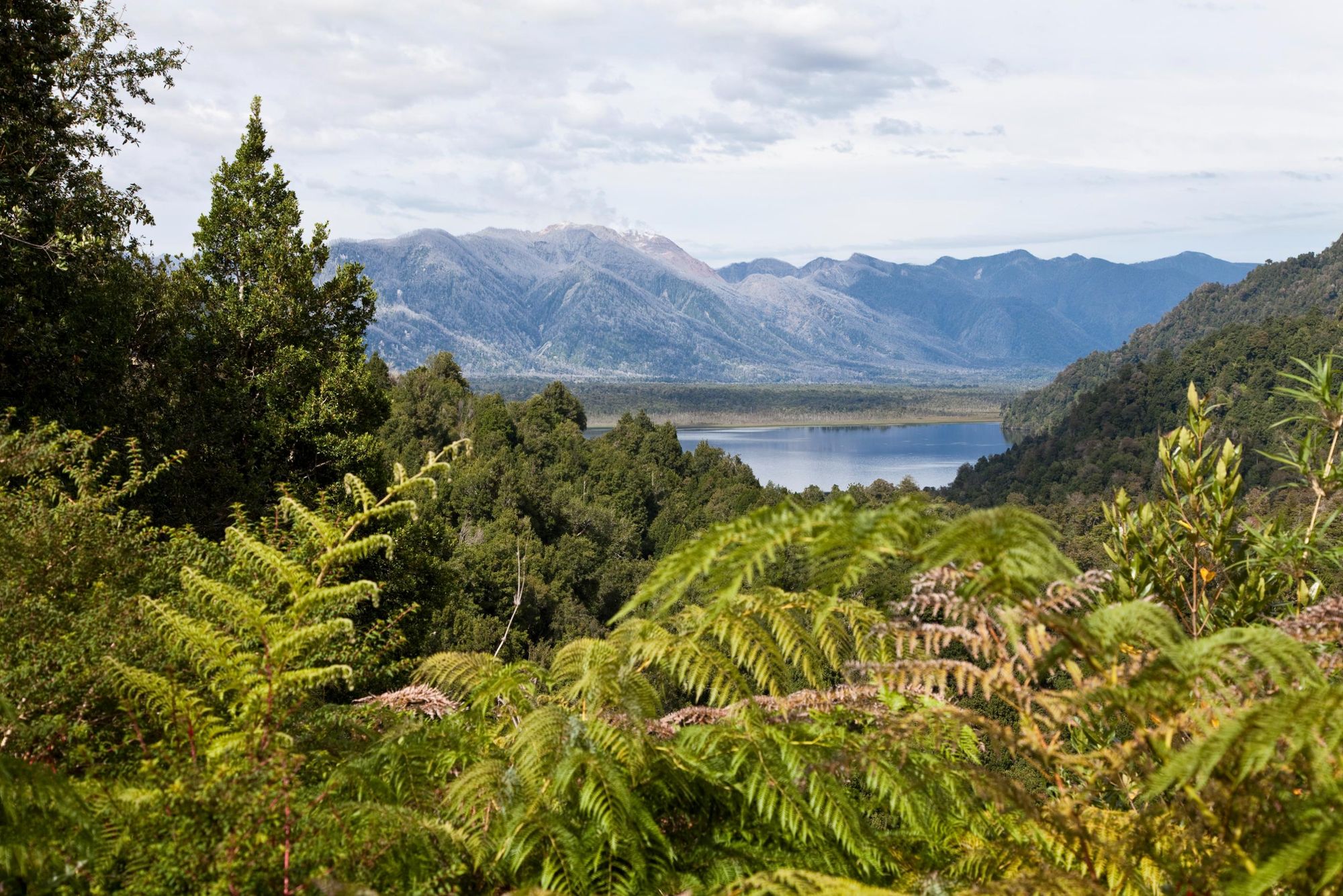 Parque Pumalín, where temporate rainforest gives way to water and mountains. Photo: Getty