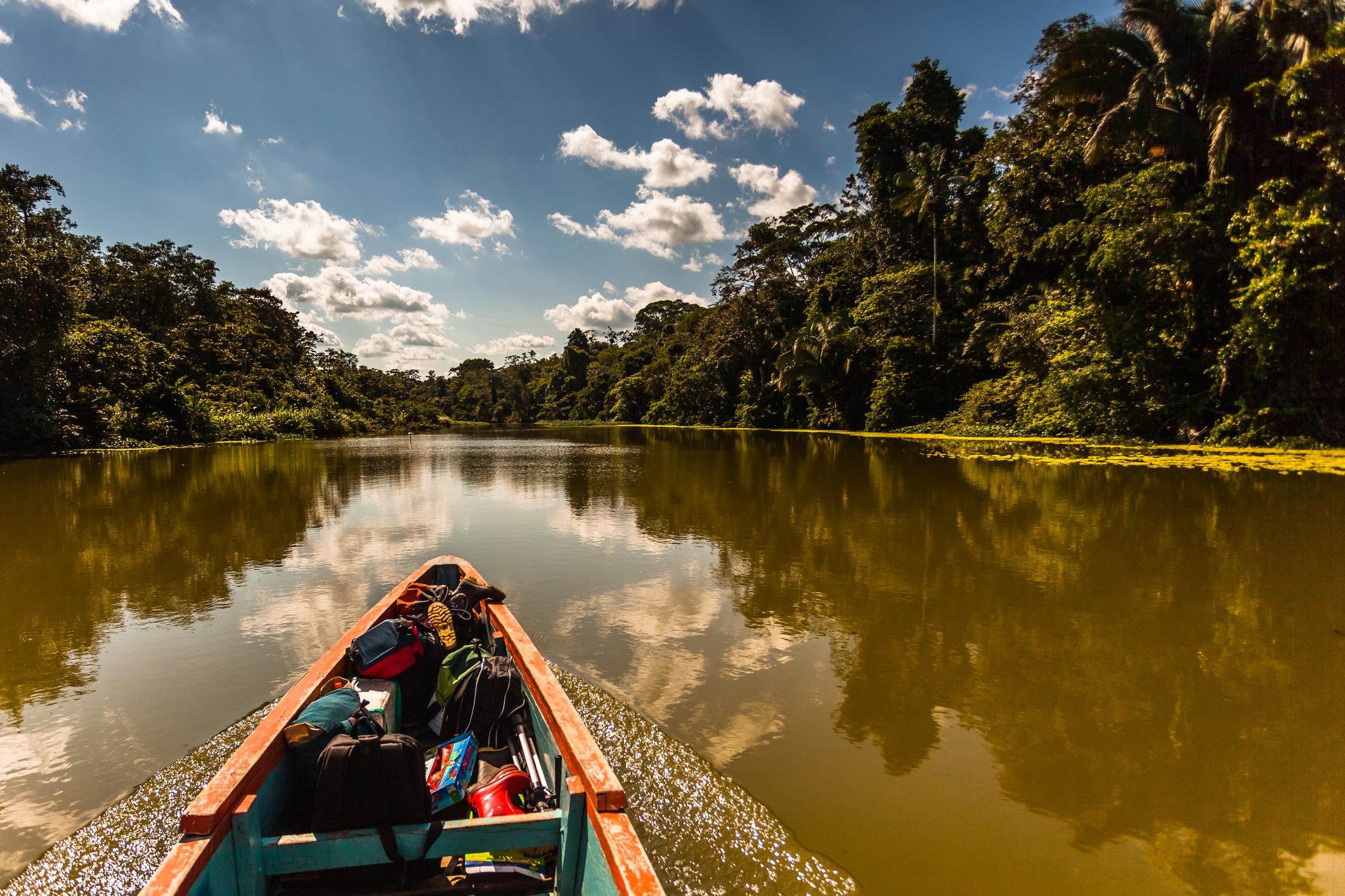 Canoeing in Yasuni National Park, Ecuador. Photo: Getty.