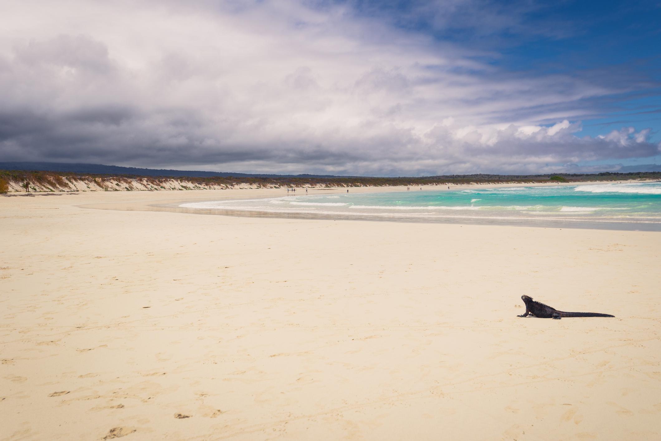 Tortuga Bay, Galapagos, during rainy season. Photo: Getty.