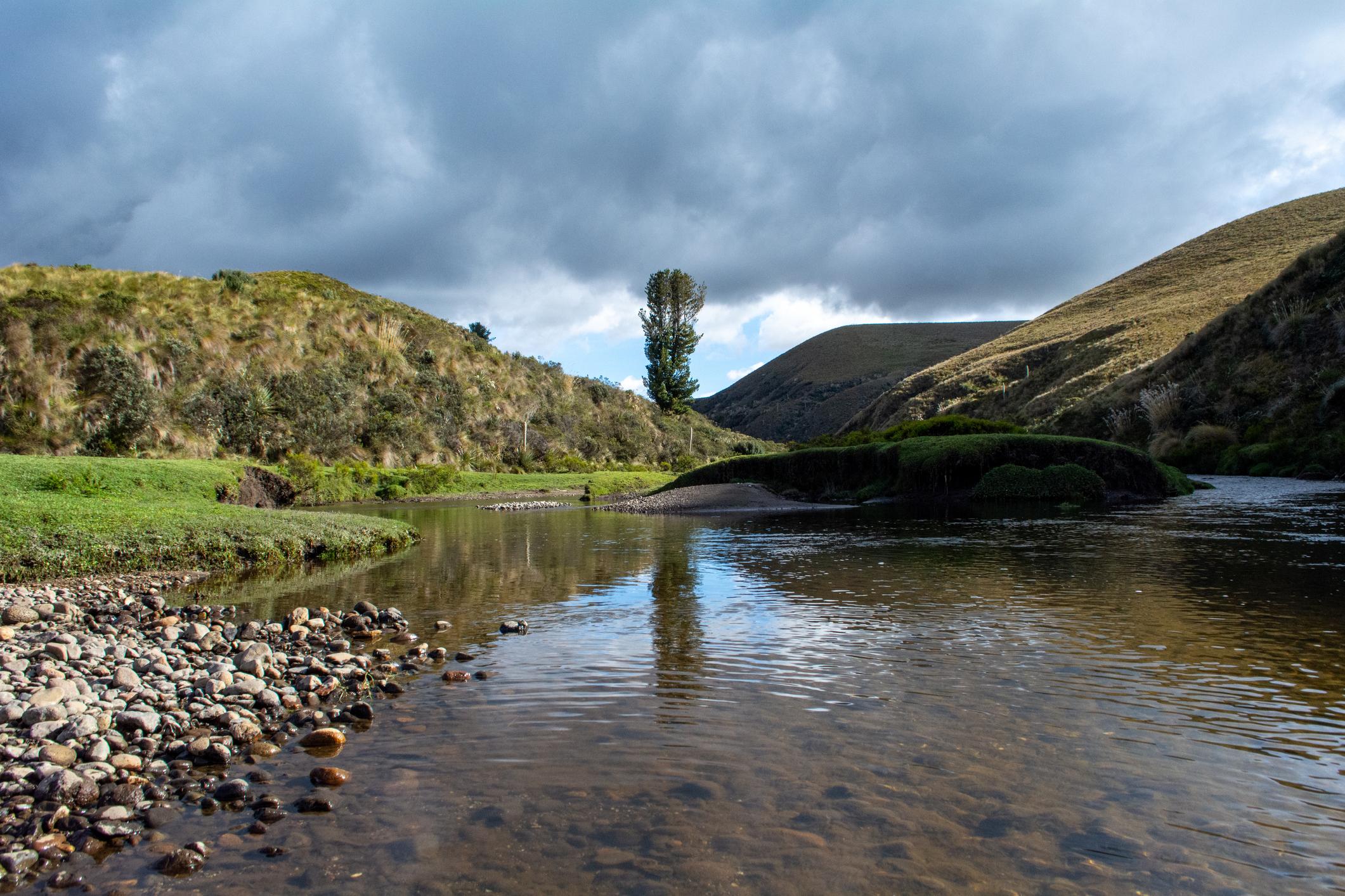 Llanganates National Park, Ecuador. Photo: Getty.