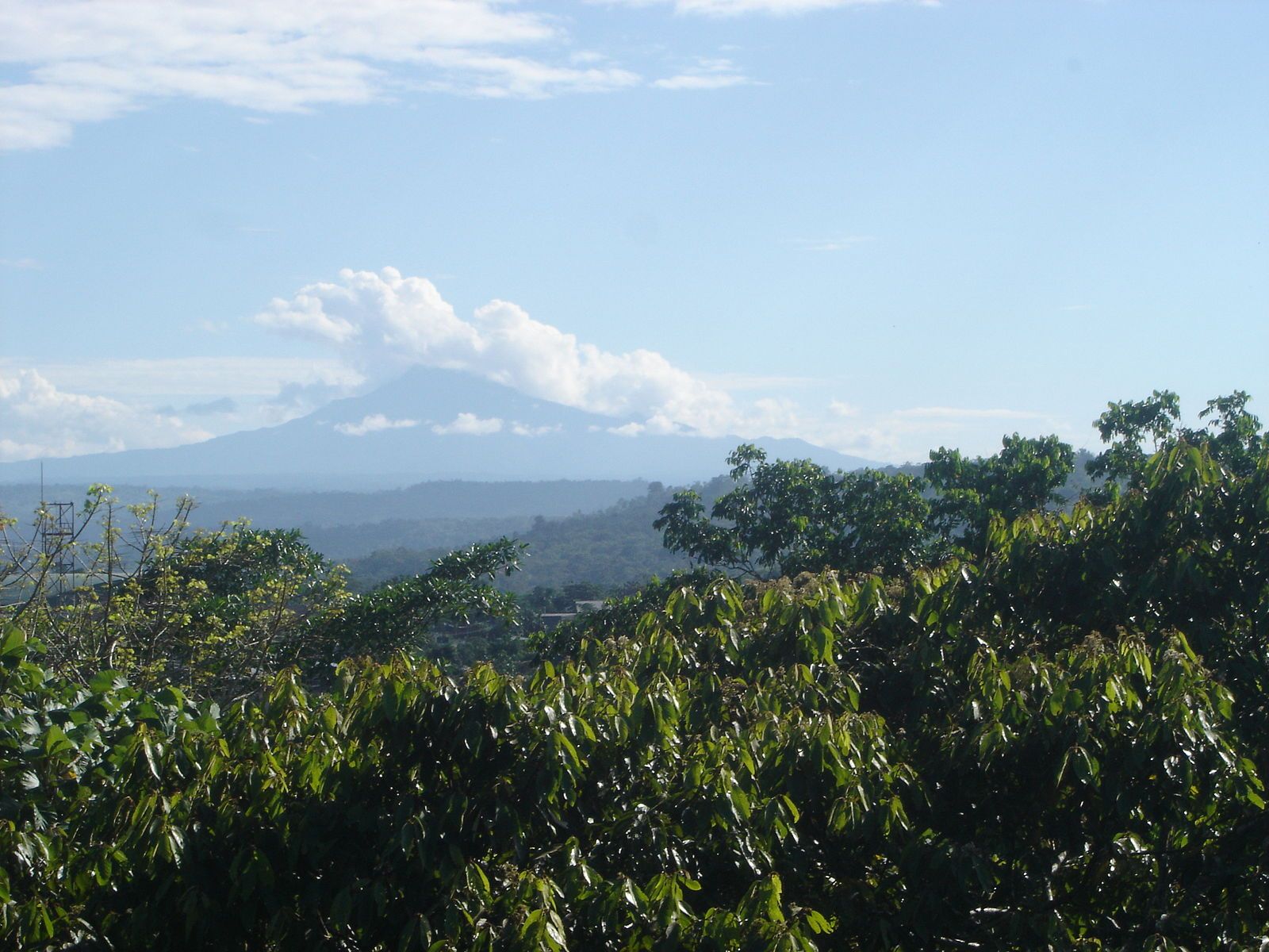 Sumaco Napo-Galeras National Park, with Sumaco Volcano in the background. Photo: Wikimedia Commons.