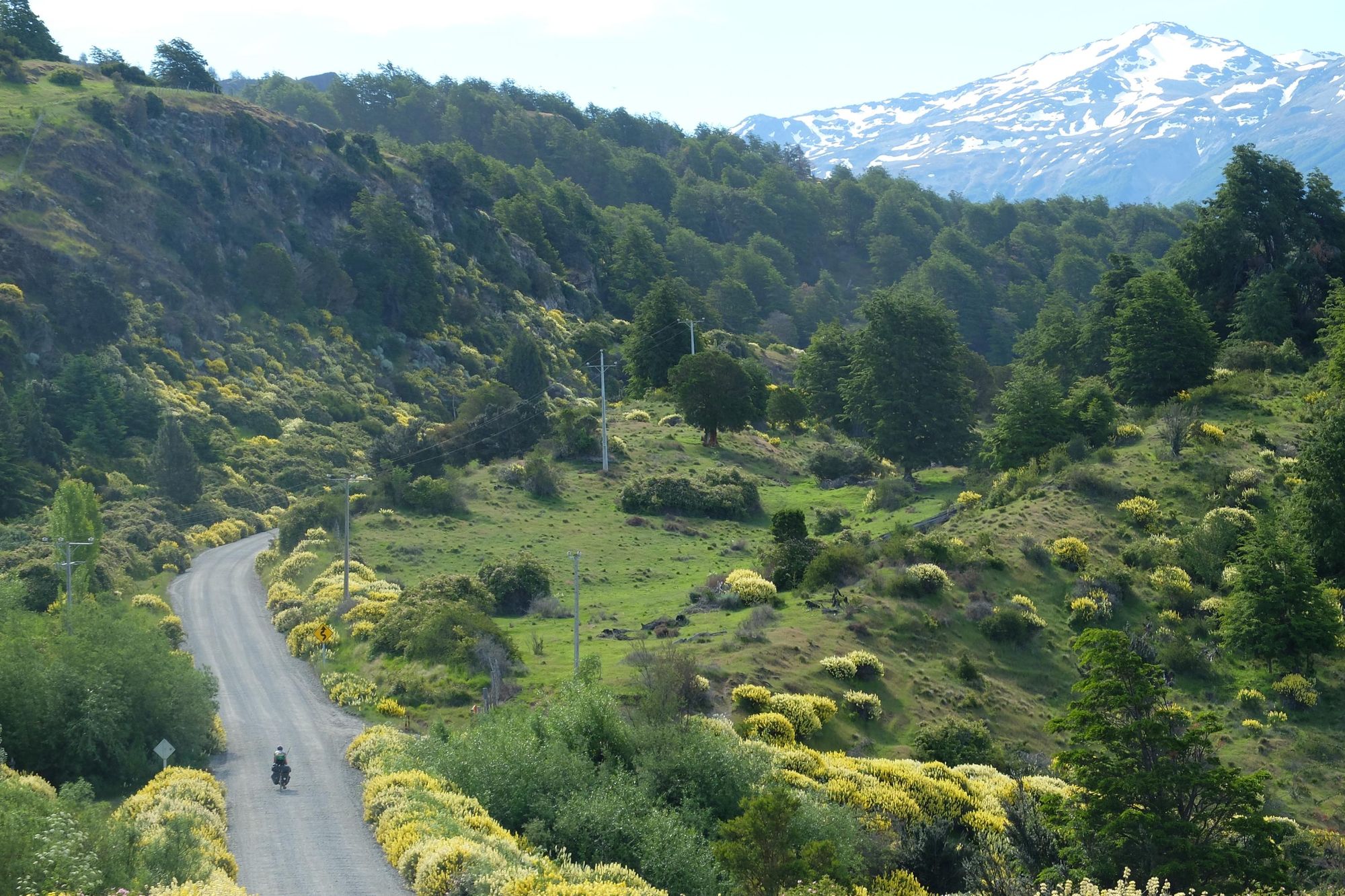 A layering landscape of lush forest and mountainous backdrops on the Carretera Austral. Photo: Adam Roberts