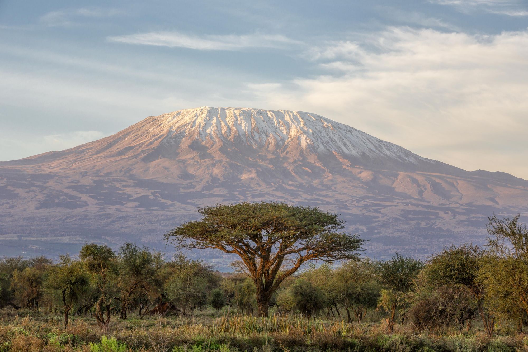 There are few mountain outlines more famous than that of Mount Kilimanjaro, the highest point in Africa. Photo: Getty