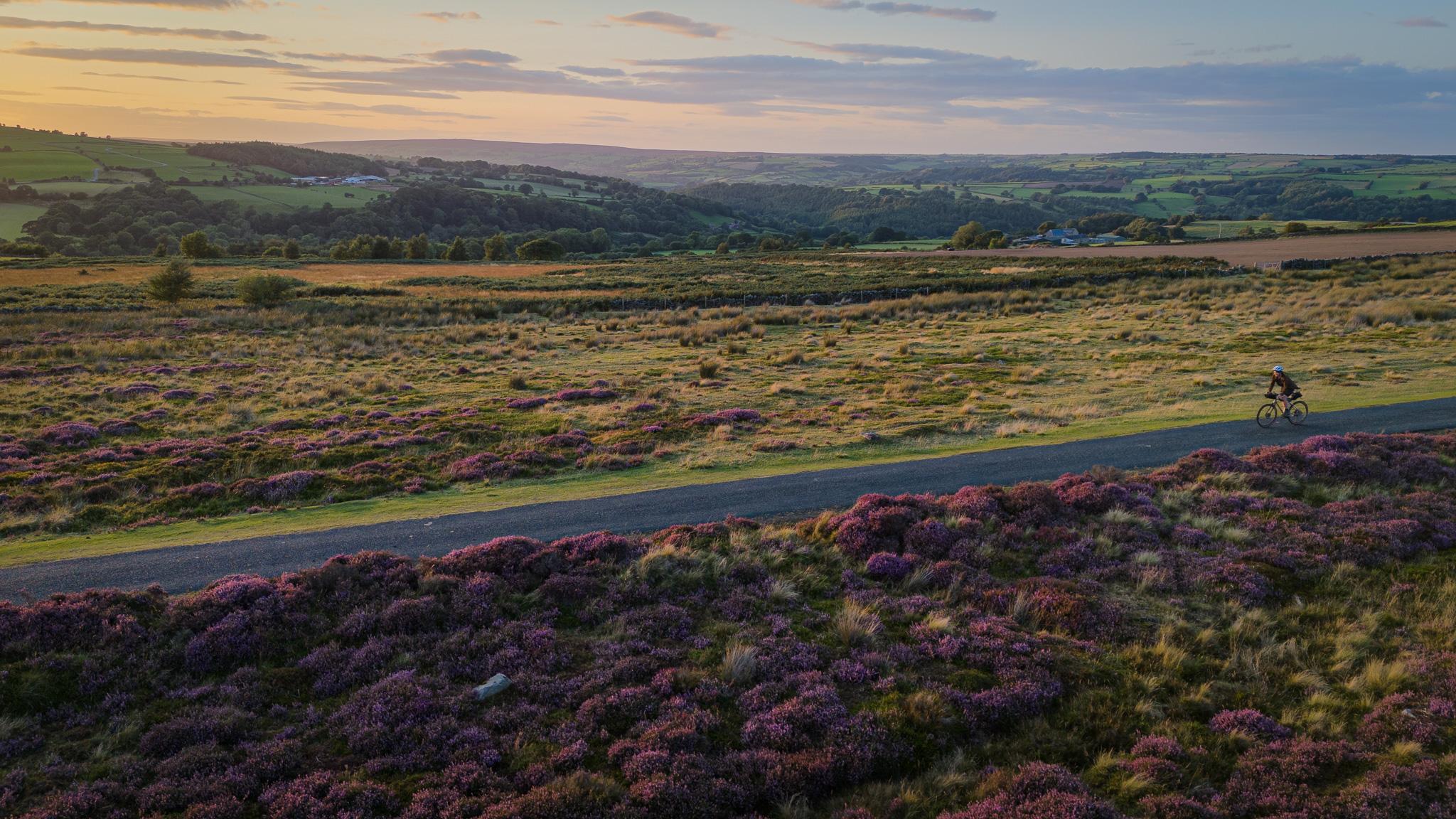 The heather and moorland of Yorkshire. Photo: Markus Stitz