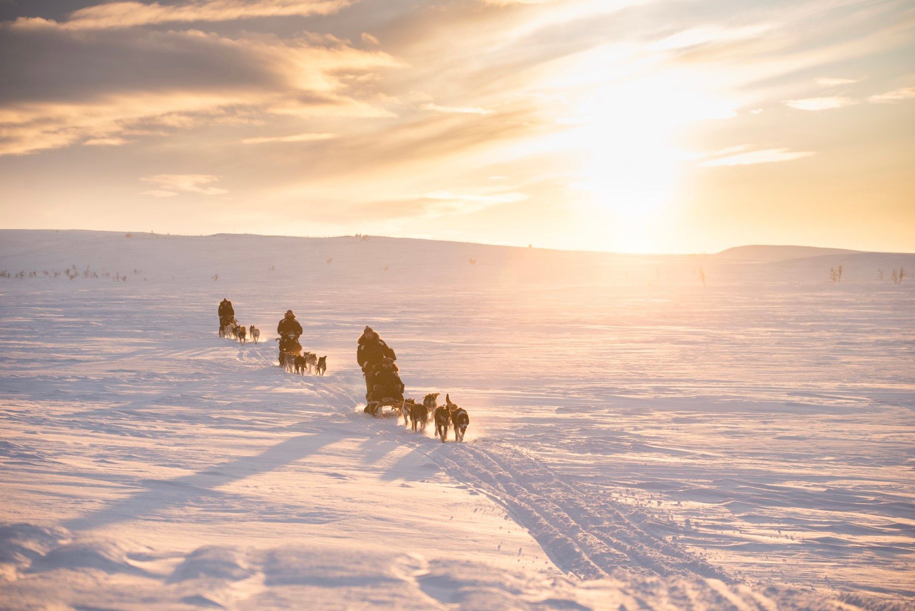 Dogsledding across the Finnmark Plateau. Photo: Holmen Husky Lodge.