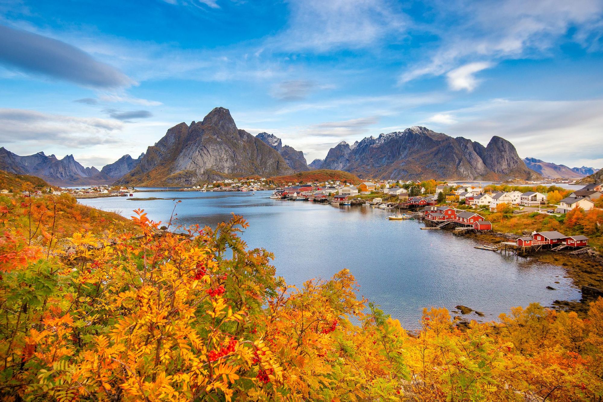 Colourful autumn foliage in the Lofoten Islands. Photo: Getty.