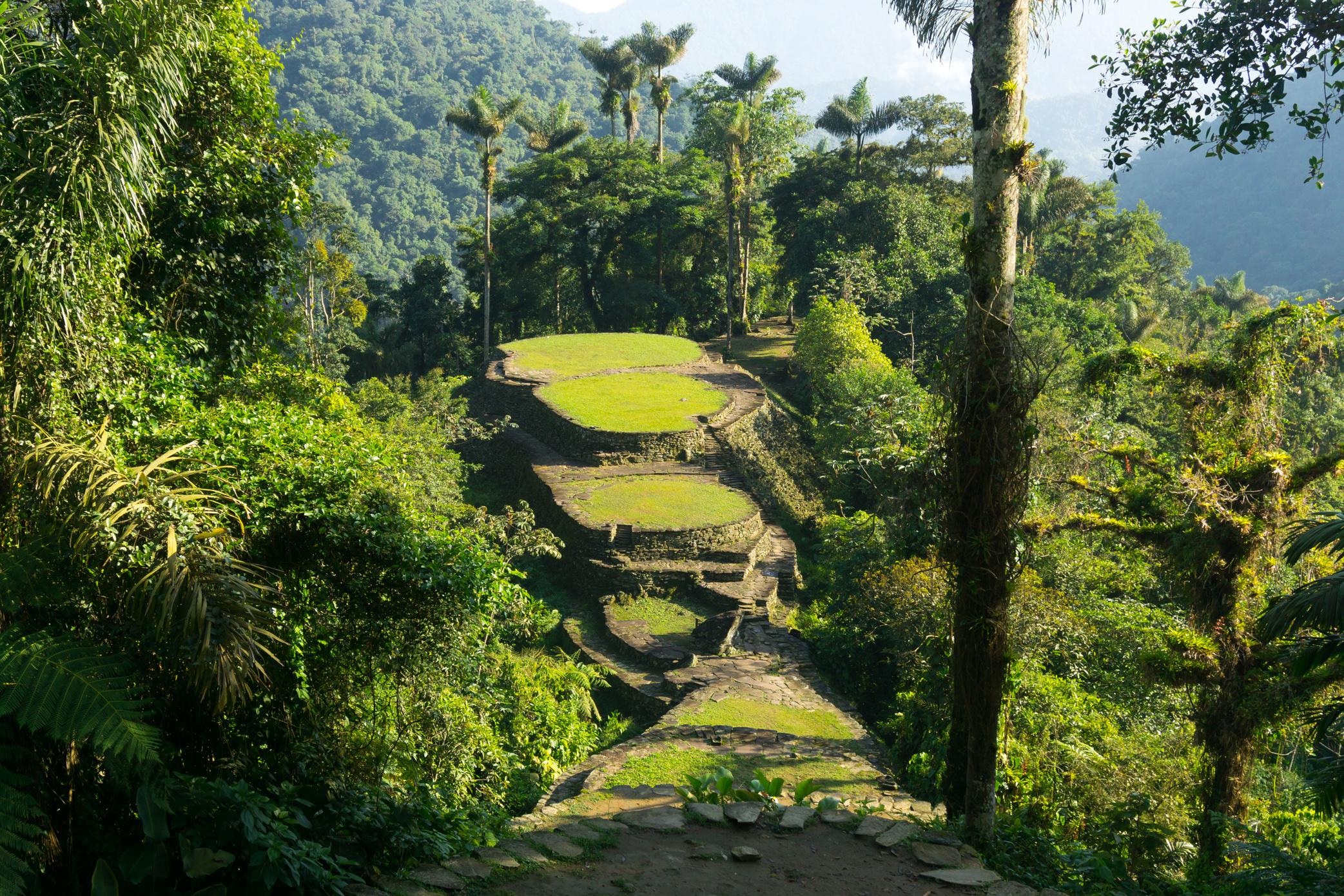 The terraces of Teyuna, also known as the Lost City, deep in the rainforest of Colombia. Photo: Getty