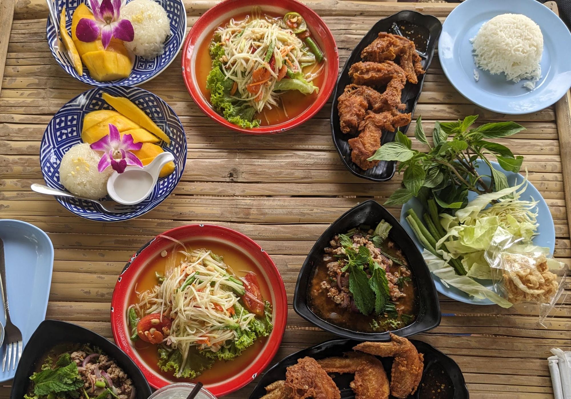 A thai meal, including larb, som tam and mango sticky rice.