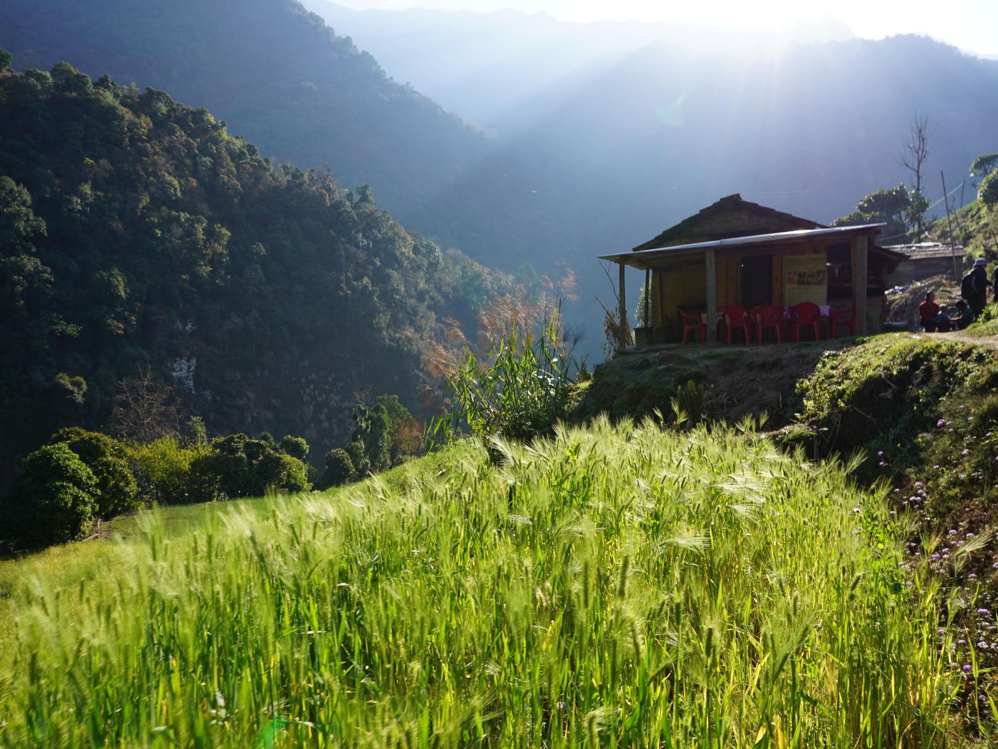 The village of Chhetra Khola. Photo: Freedom Adventures.