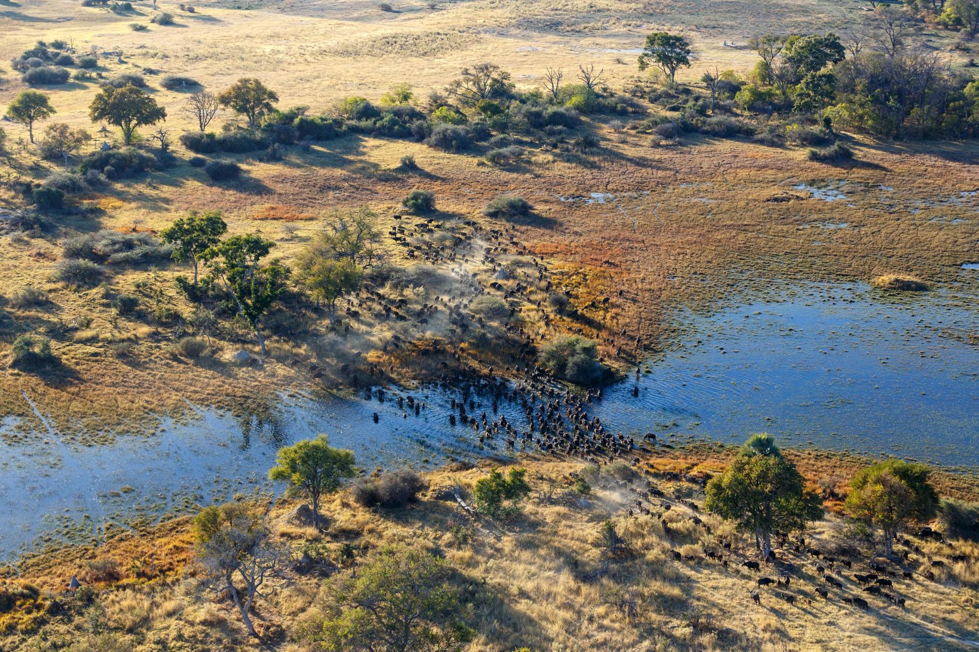 The sprawling life of the Okavango Delta. Photo: Getty
