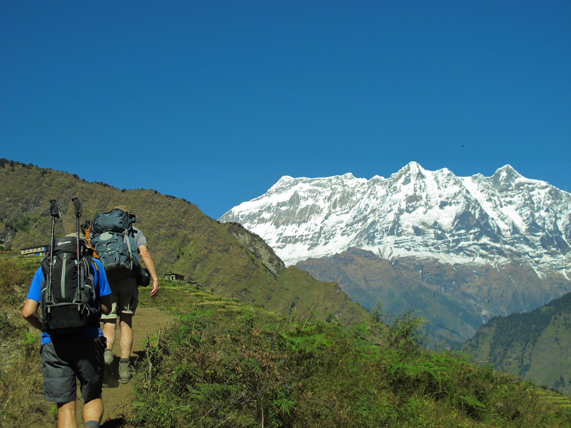 Hiking towards Paiyan, Nepal. Photo: Freedom Adventures.