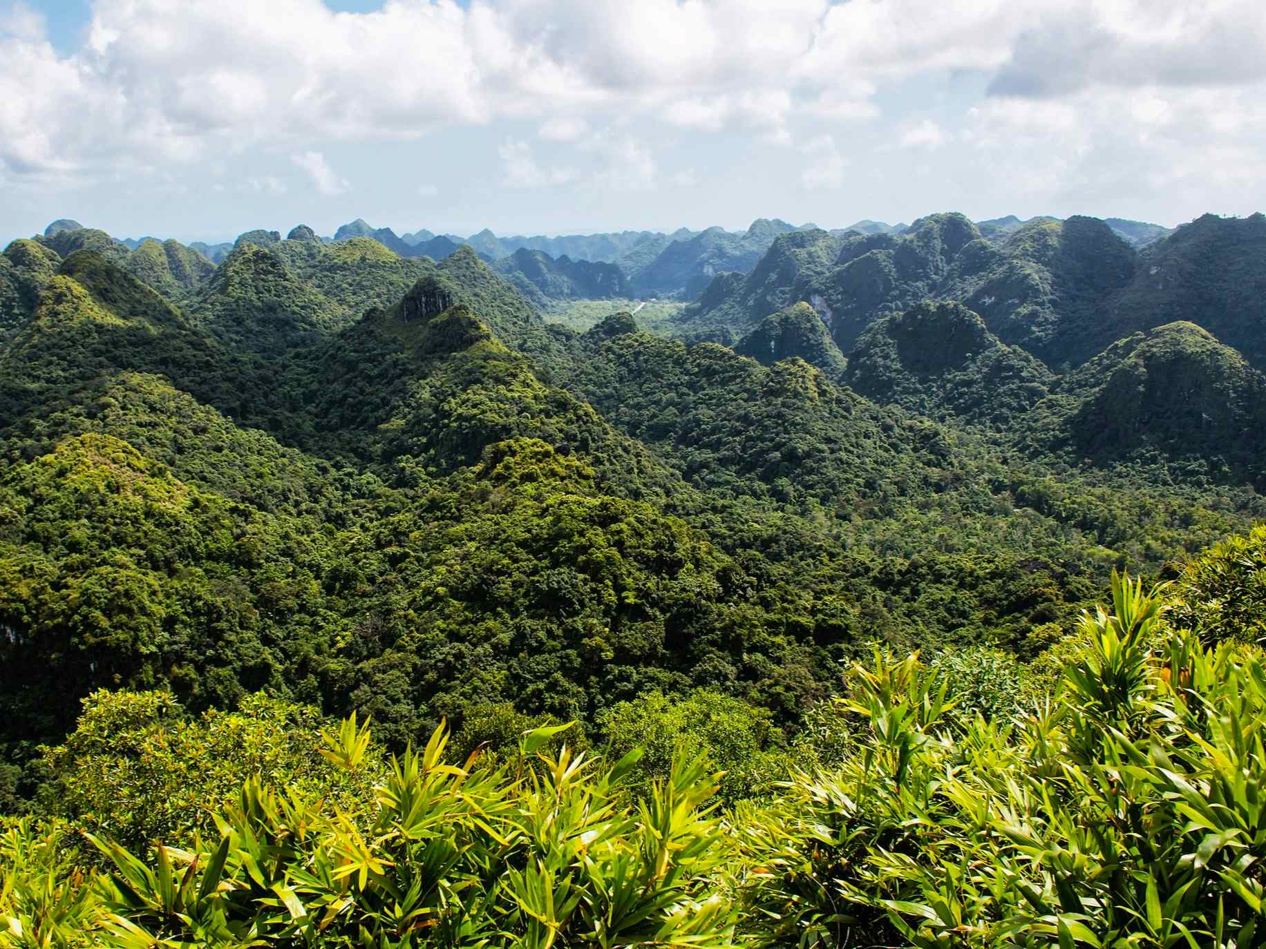 Views from the top of Ngu Lam Peak, on Vietnam's Cat Ba island. Photo: Getty.