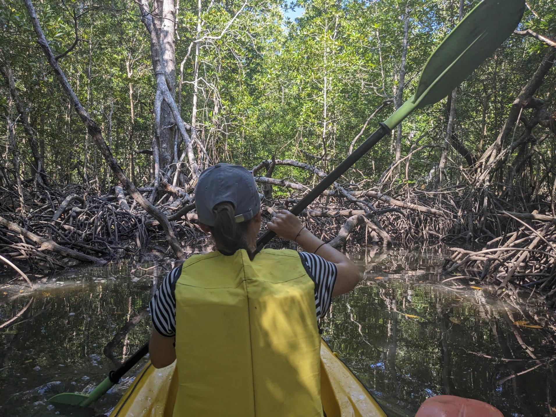 Kayaking through the mangroves in Koh Yao Yai. Photo: Dani Redd