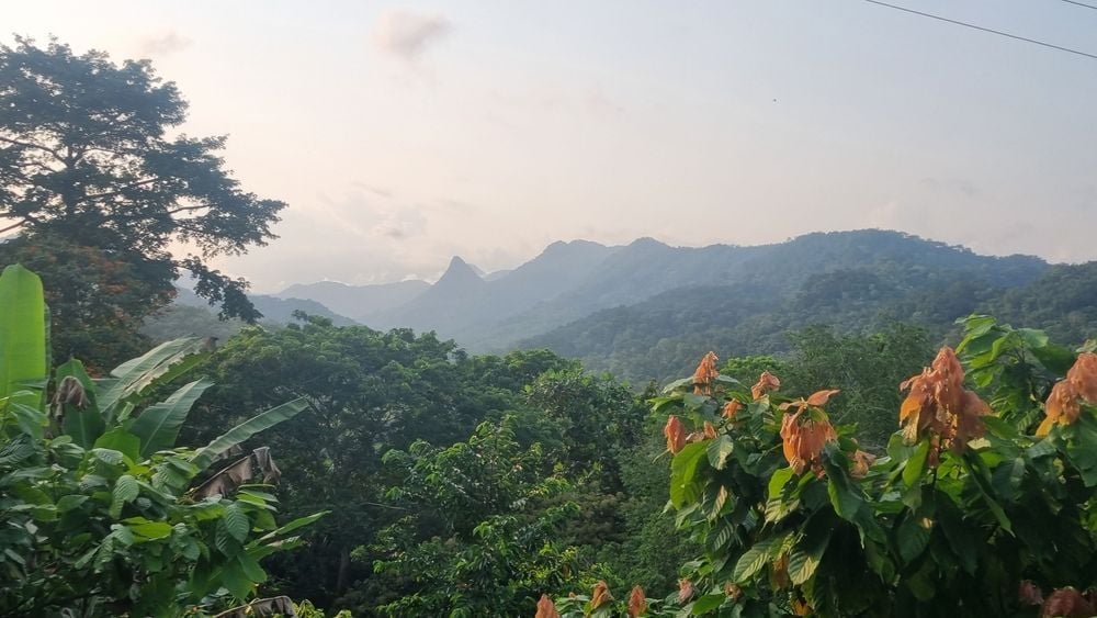 The pristine wilderness of São Tomé. Photo: Marta Marinelli