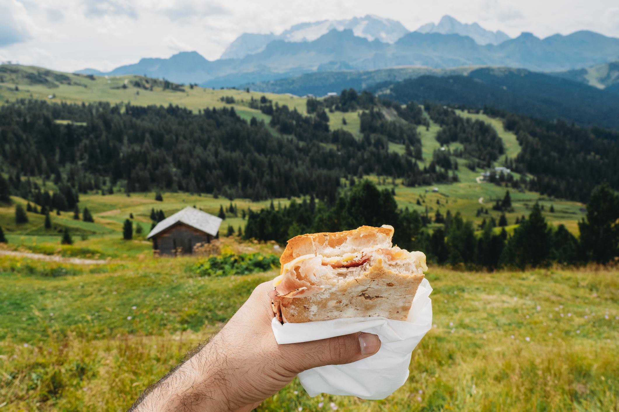 Close up of a sandwich with a mountain backdrop behind
