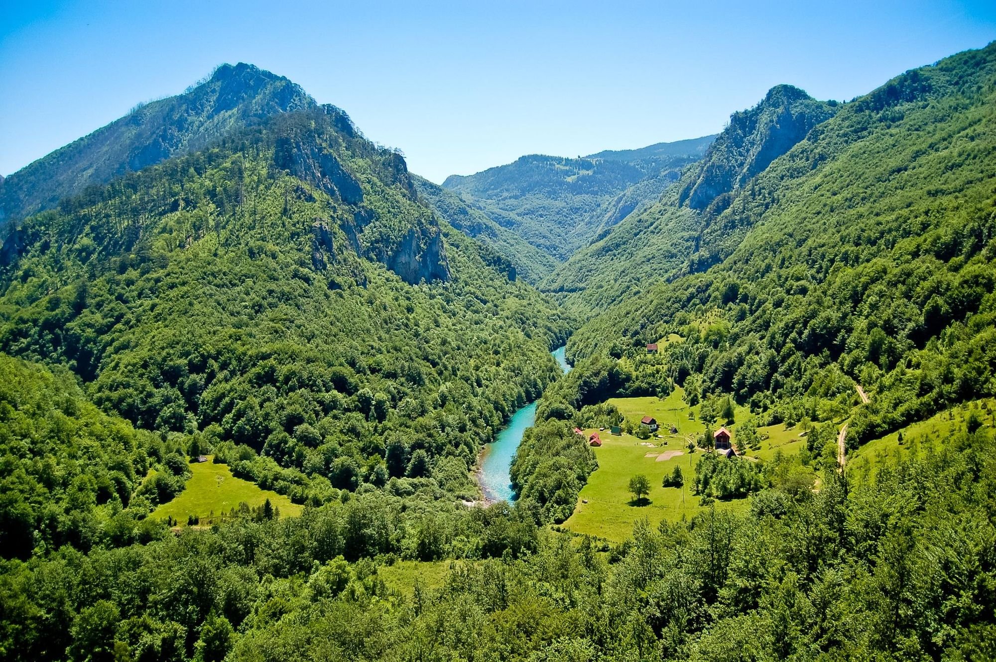 An aerial view of the Tara River Canyon, lined with lush greenery. Photo: Getty