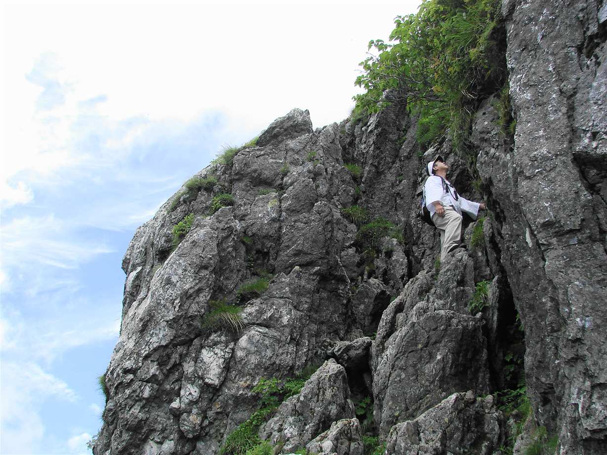 The Ancient Pilgrim Trails Through Japan's Sacred Mountains