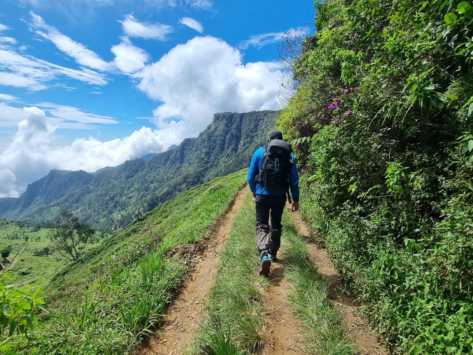 Hikers on the Pekoe Trail, in Horton Plains National Park. Photo: Much Better Adventures.