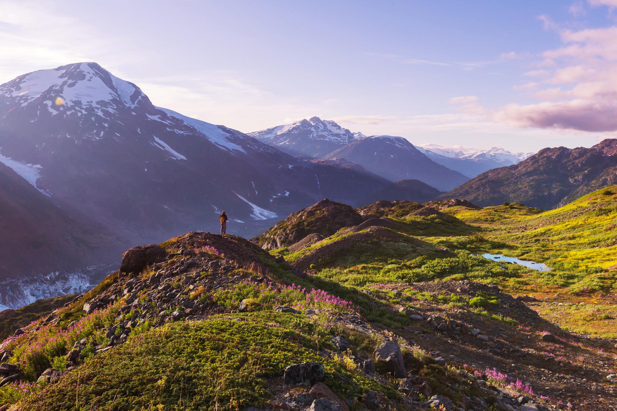 The Bald Hills Hiking Trail in Jasper National Park. Photo: Canva.