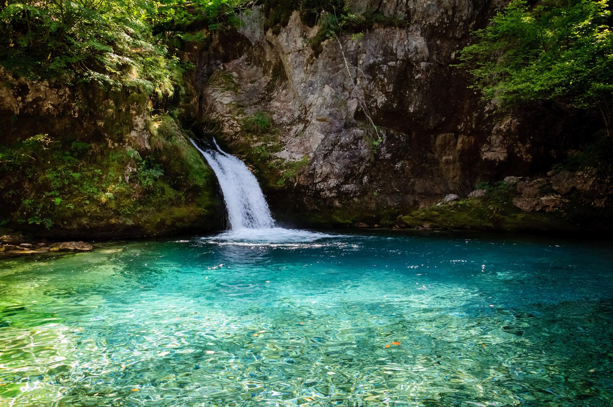 The lush tranquility of the Blue Eye, near Theth in Albania. Photo: Getty