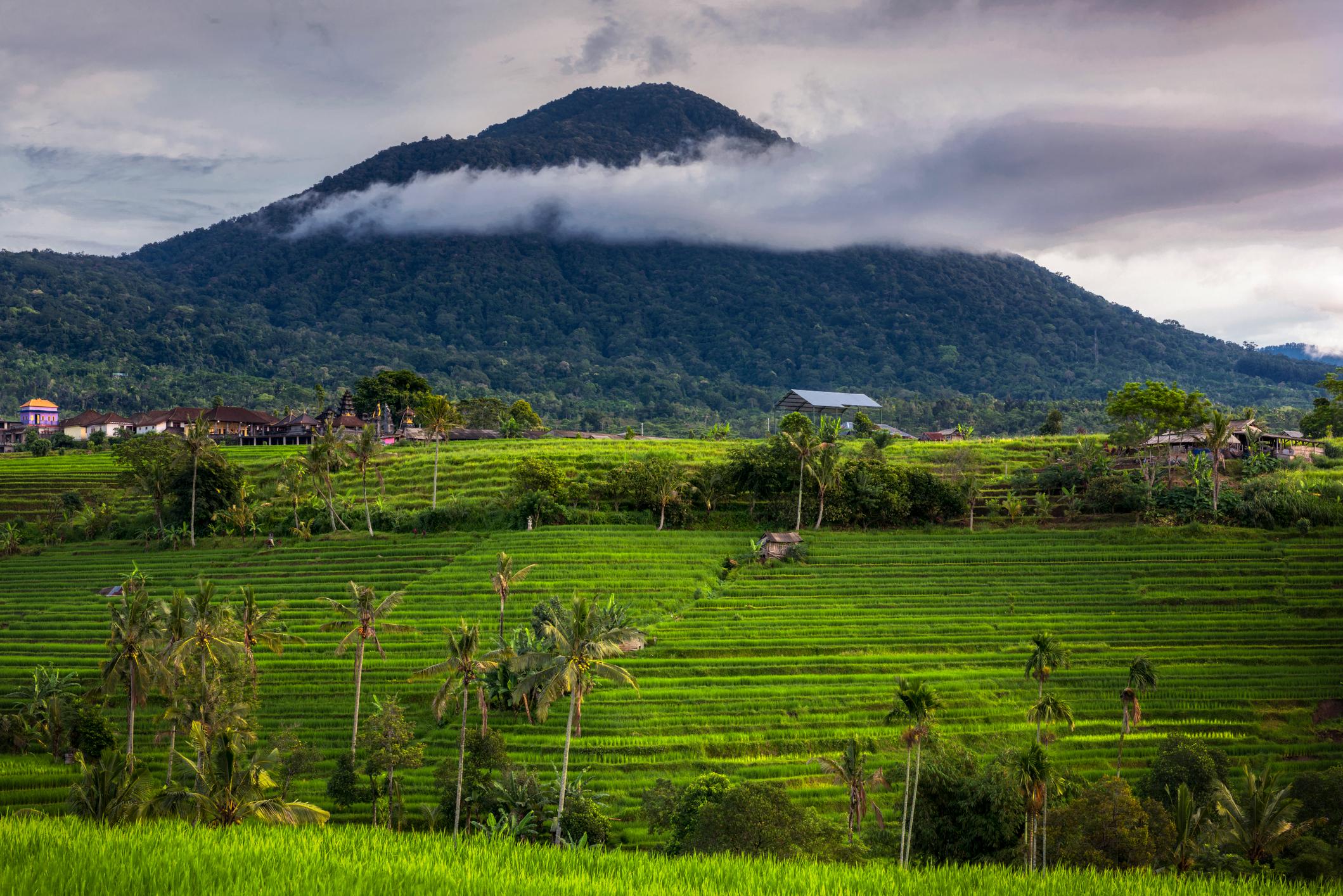 Mount Batakaru, the highest point on the Bali Coast to Coast Trek. Photo: Getty.