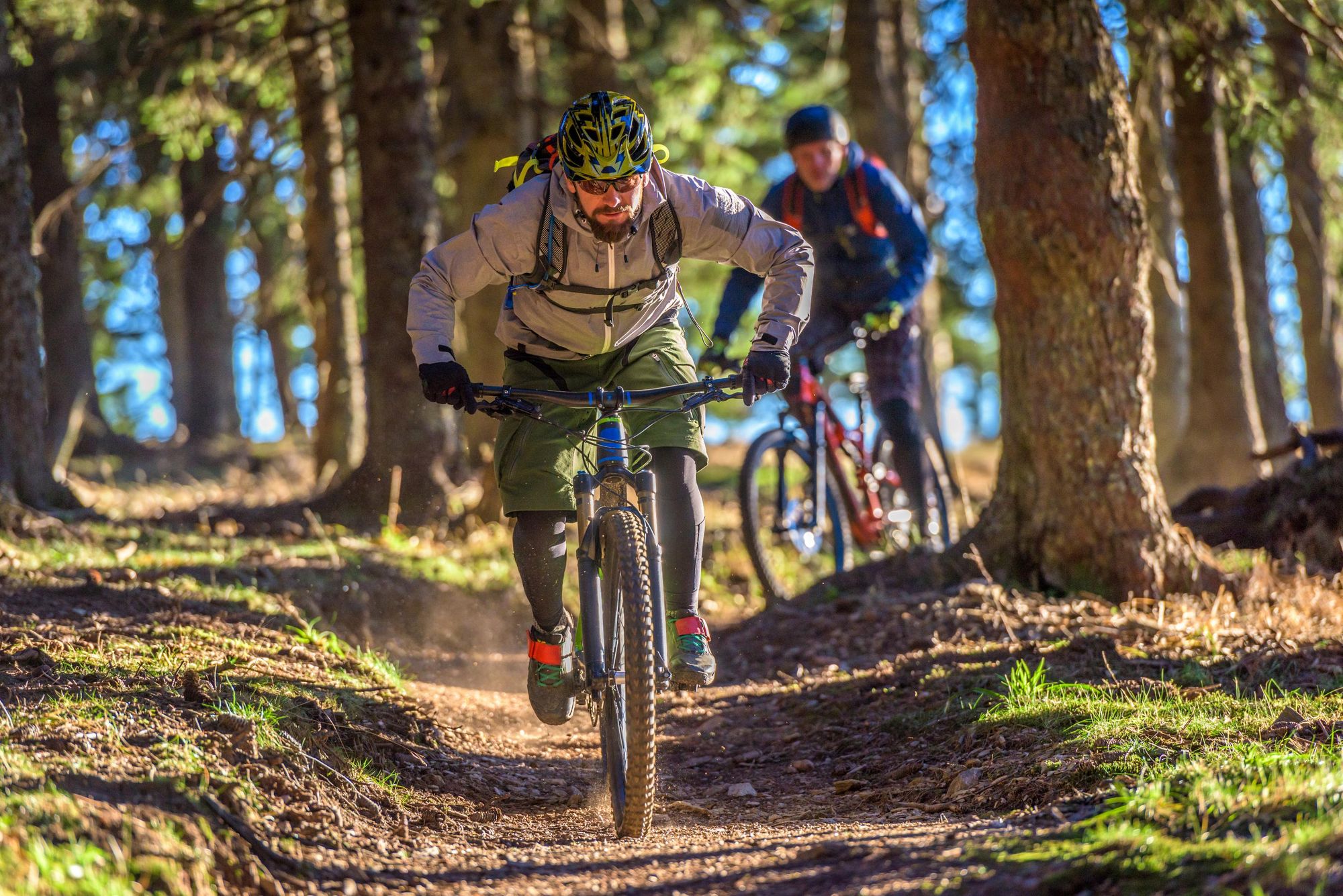 Two mountain bikers make their way down some trails in a forest. Photo: Getty