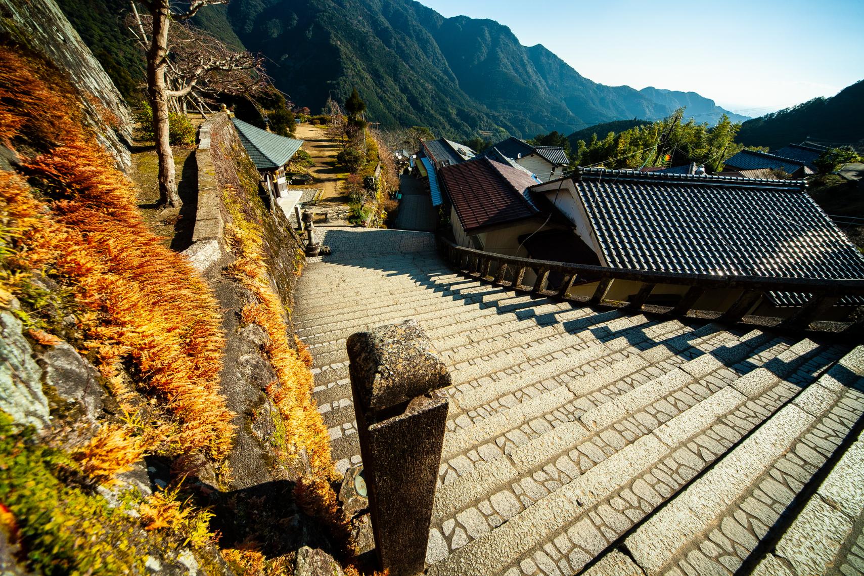 Stairs down to Kumano Nachi Taisha, a shrine on the Kumano Kodo in Japan. Photo: Getty.