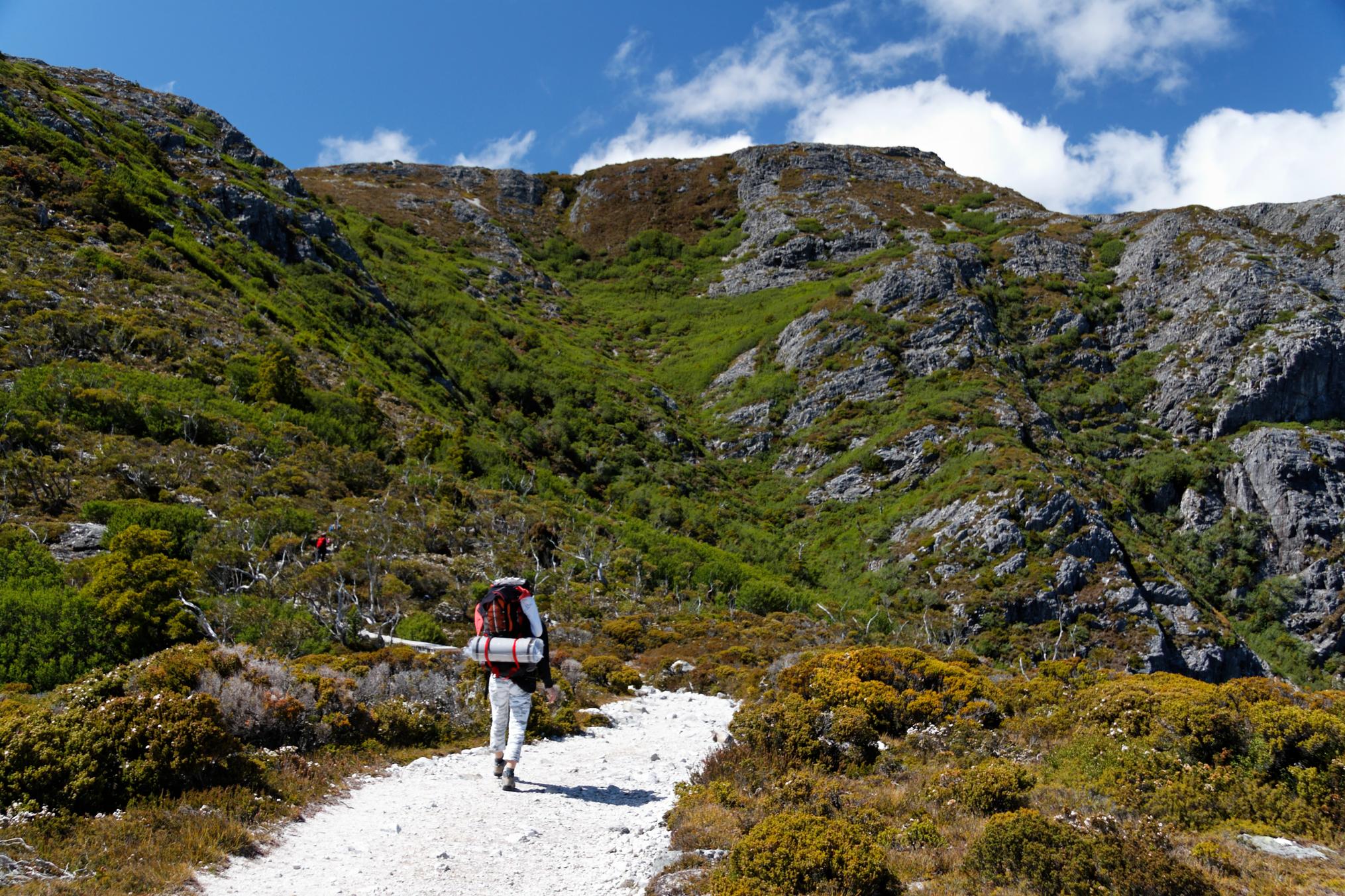 A hiker sets out on the Overland Track. Photo: Getty.